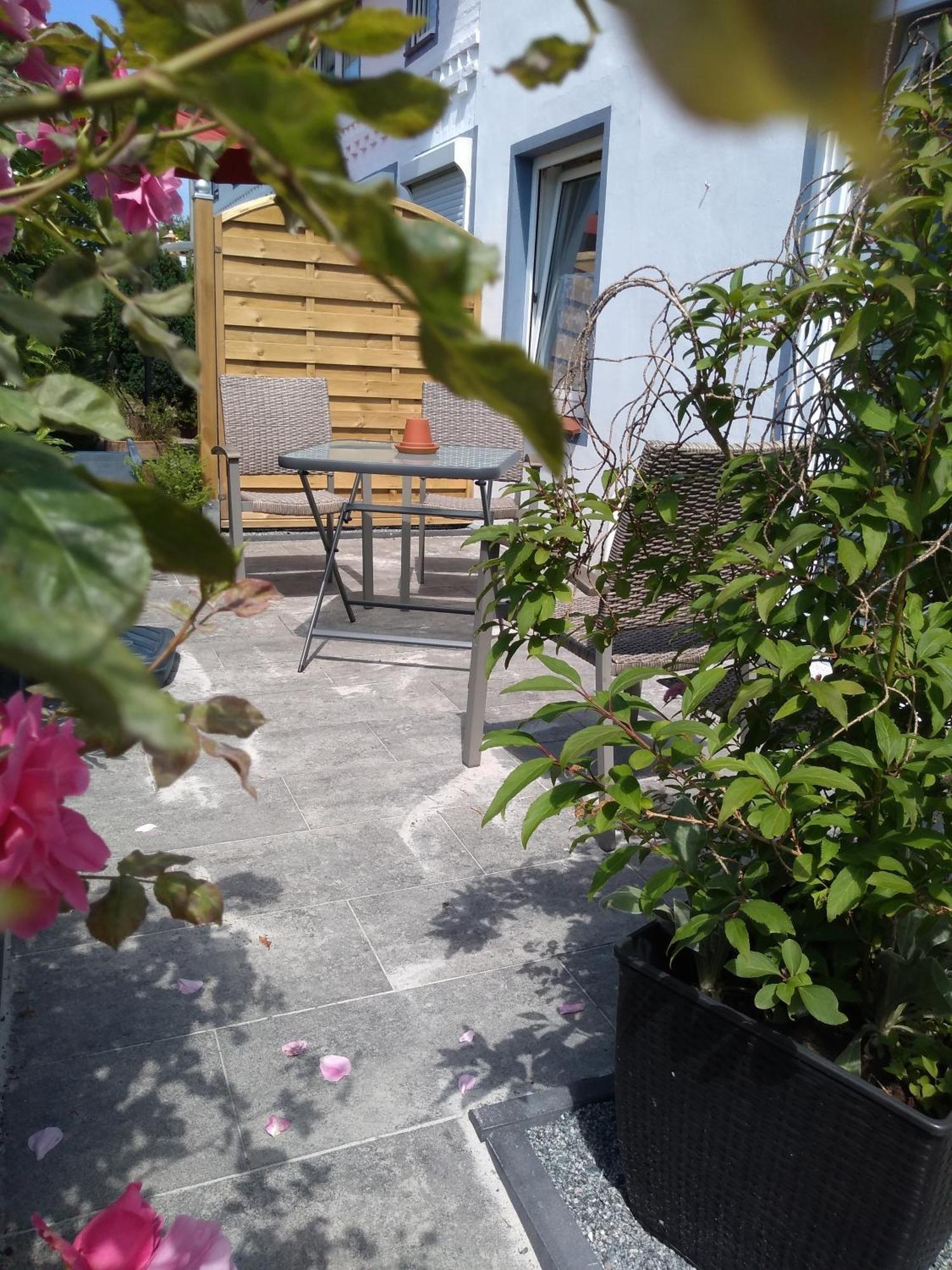 Fewo 3 Mit Terrasse, Box-Bett, Kl Extra Zimmer, Tresor Dahme  Εξωτερικό φωτογραφία